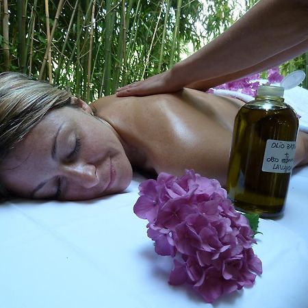 Villa Campestri Olive Oil Resort Vicchio Exterior foto