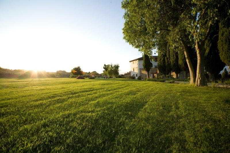 Villa Campestri Olive Oil Resort Vicchio Exterior foto